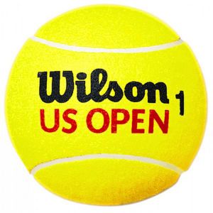 Balle Médium Wilson Roland Garros  - Diamètre: 25cm 